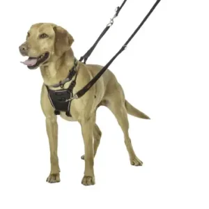 Halti No Pull Dog Harness - Training Aid for Dogs