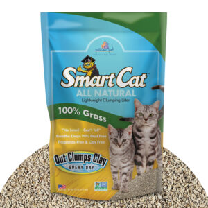Pioneer Pet SmartCat All Natural Clumping Litter - Dust-Free Formula